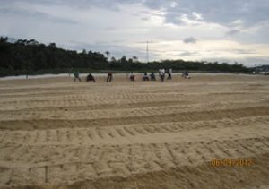 new jetty moore dredging